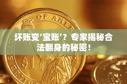 北京坏账变‘宝账’？专家揭秘合法翻身的秘密！