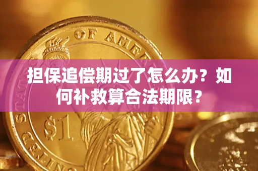 北京担保追偿期过了怎么办？如何补救算合法期限？