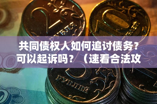 北京共同债权人如何追讨债务？可以起诉吗？（速看合法攻略）