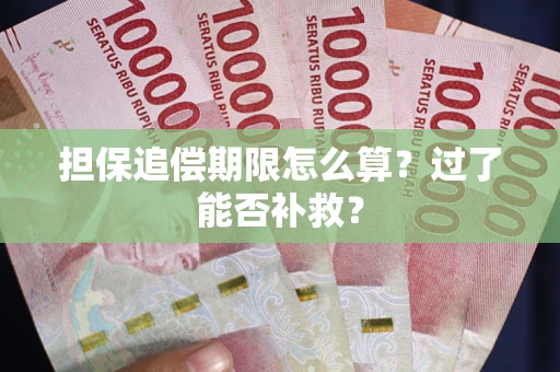 北京担保追偿期限怎么算？过了能否补救？